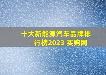 十大新能源汽车品牌排行榜2023 买购网